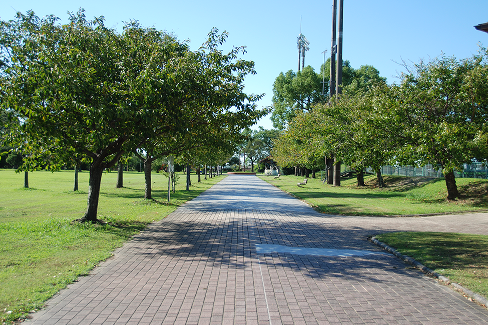 中原公園整備工事