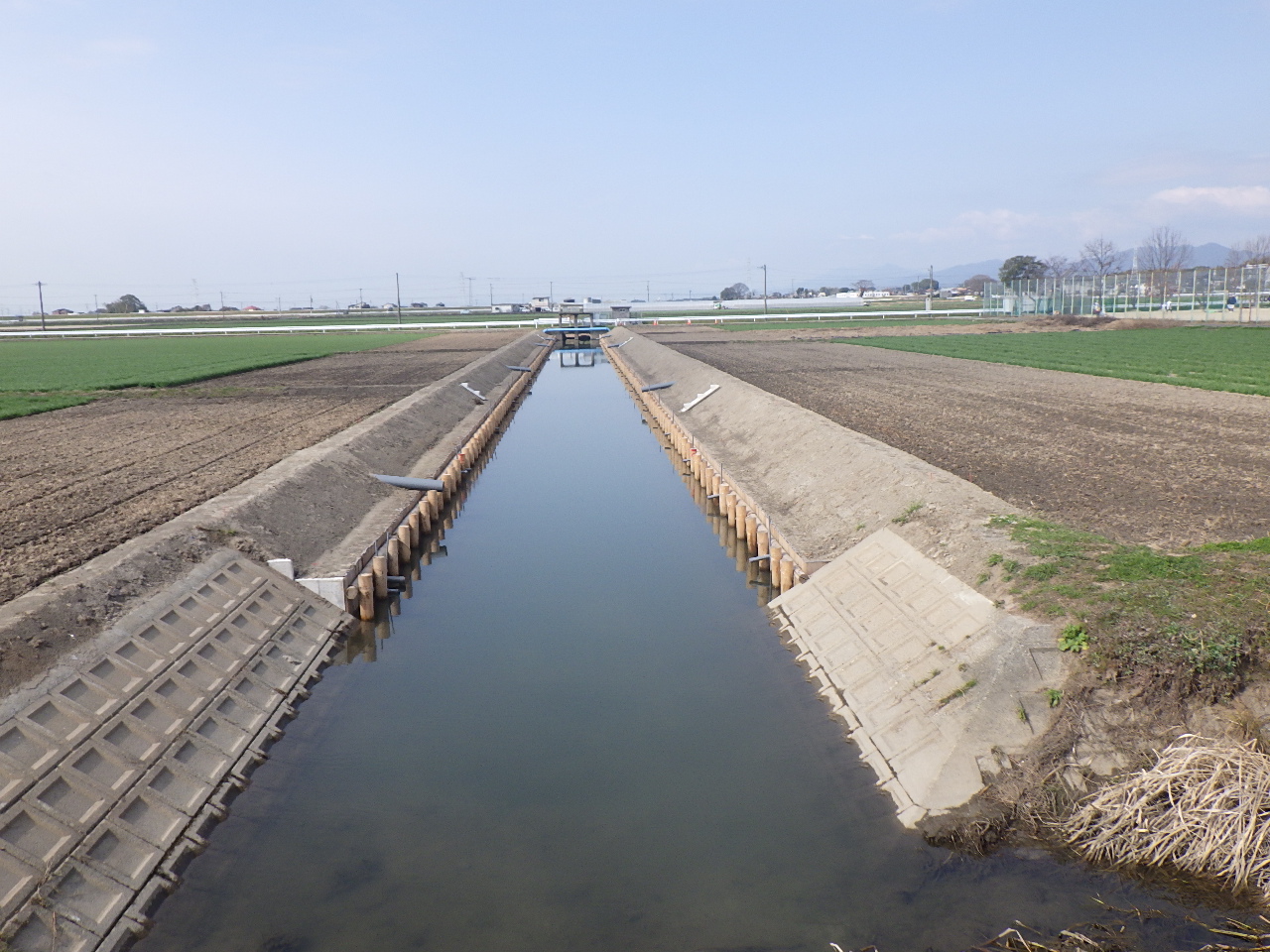 クリーク防災機能保全対策事業工事(用排水路工事)