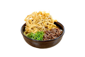03-肉ごぼう天