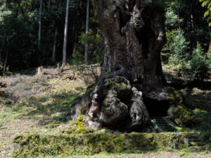 DSCF0164
