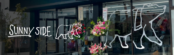 SUNNY SIDE TOKYOサニーサイド武雄支店